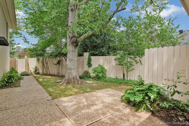 view of yard with a fenced backyard and a patio area