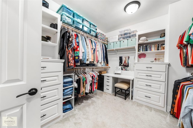 walk in closet with carpet flooring