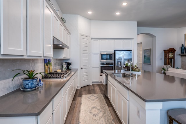 1130 Holcombe Dr, Anna, TX 75409 - kitchen with a sink, under cabinet range hood, dark countertops, and stainless steel appliances