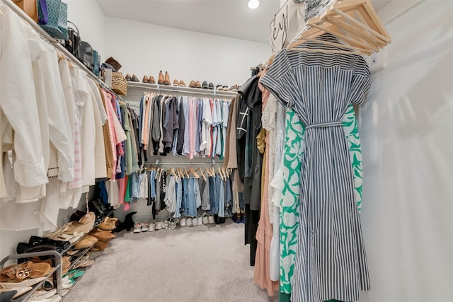 1719 Godello Dr, Mclendon Chisholm, TX 75032 - walk in closet with carpet floors
