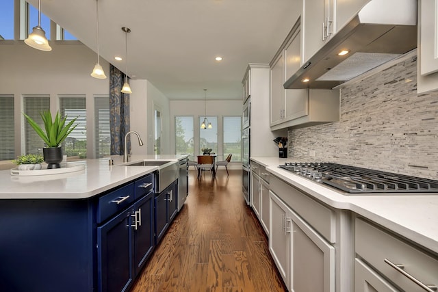 kitchen featuring a sink, ventilation hood, stainless steel appliances, dark wood-style floors, and blue cabinets