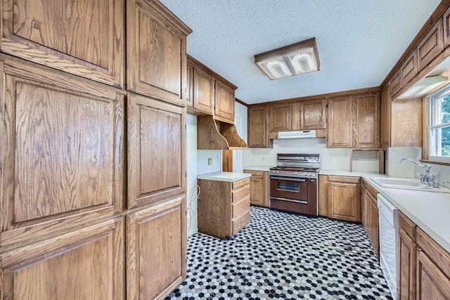 kitchen with light countertops, range with gas stovetop, a sink, and dishwasher