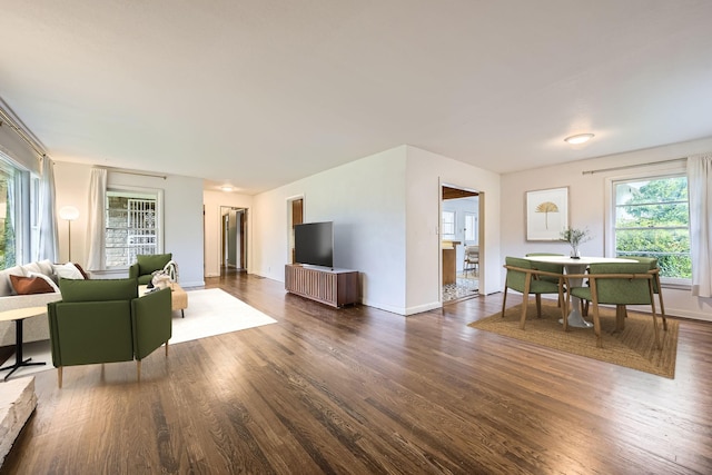living room featuring baseboards, plenty of natural light, and wood finished floors