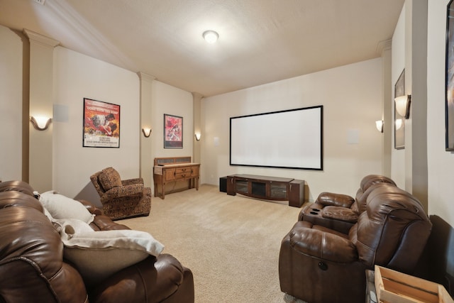 1041 Bandelier Dr, Allen, TX 75013 - view of carpeted cinema room