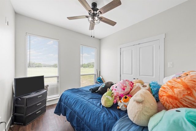 bedroom with ceiling fan, a closet, and wood finished floors