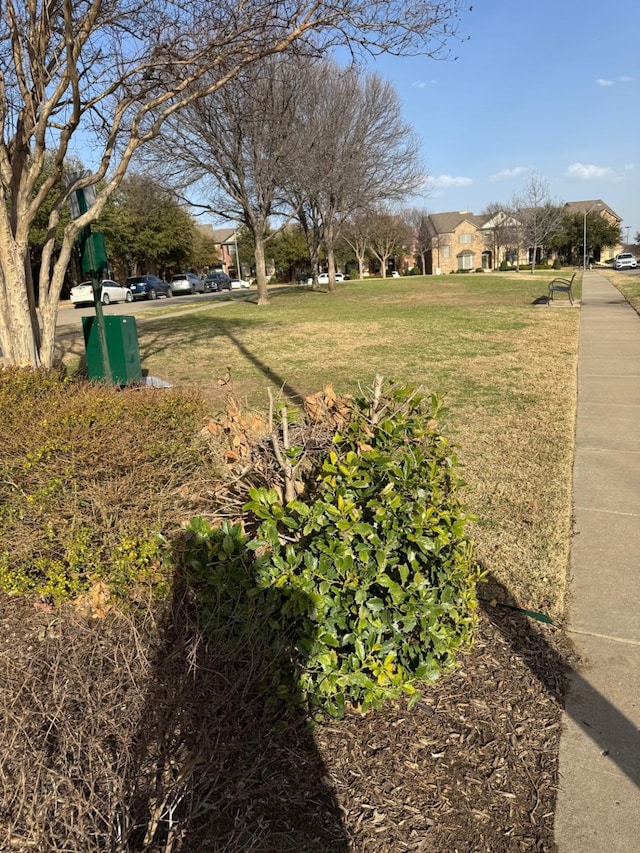 1932 Loma Linda Dr, Irving, TX 75063 - view of yard
