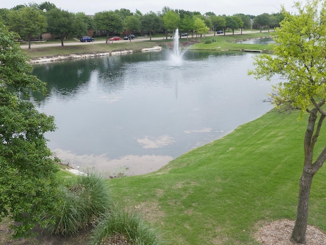 property view of water