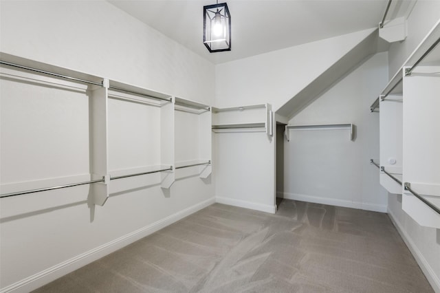 spacious closet featuring carpet floors