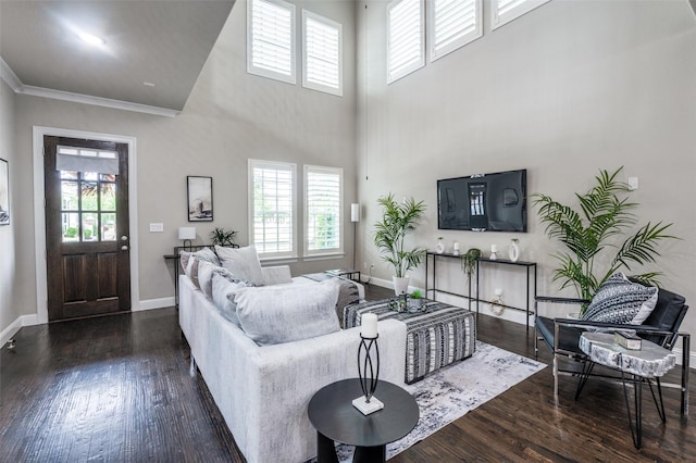 living area with plenty of natural light and wood finished floors