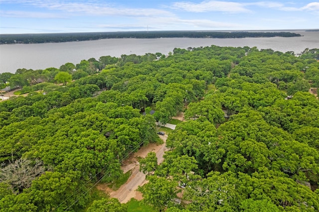 aerial view featuring a water view and a forest view
