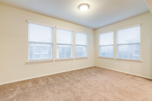 spare room with baseboards and carpet flooring