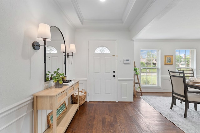 entryway with a tray ceiling, a wealth of natural light, and dark wood-type flooring