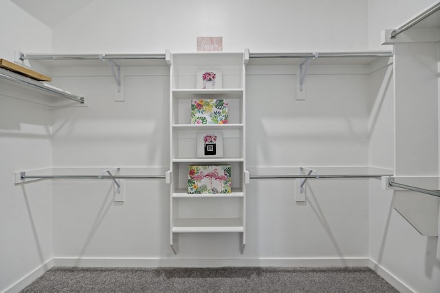 walk in closet featuring carpet