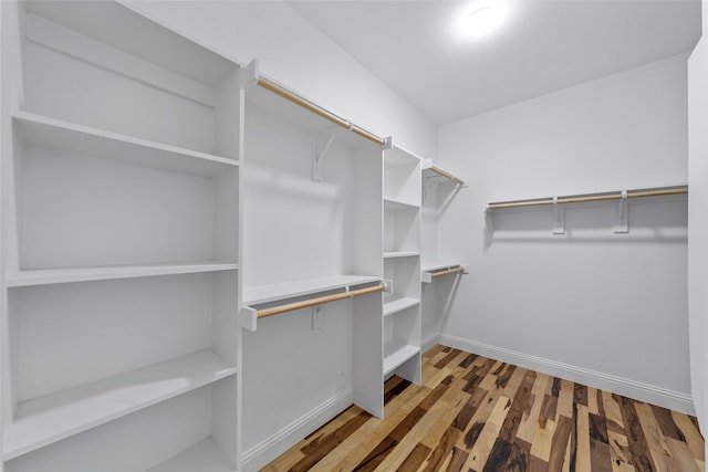 walk in closet with wood finished floors