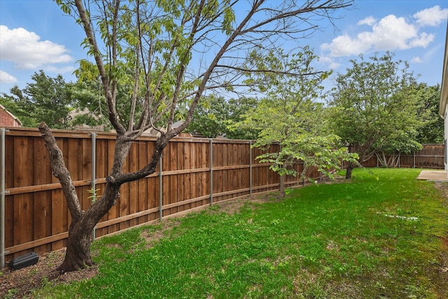 view of yard with a fenced backyard