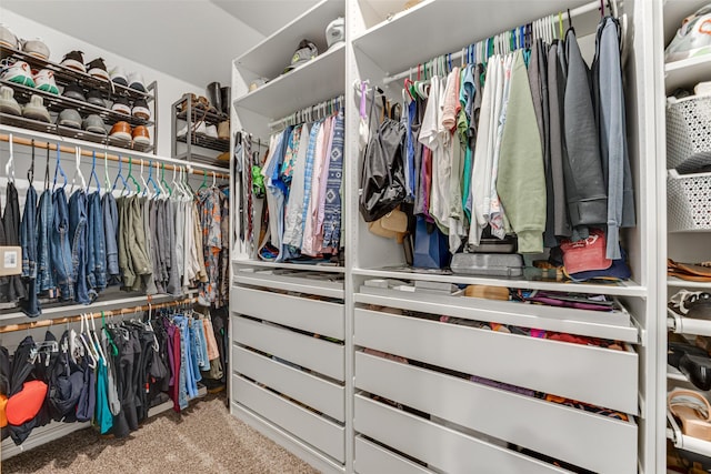 spacious closet with carpet floors
