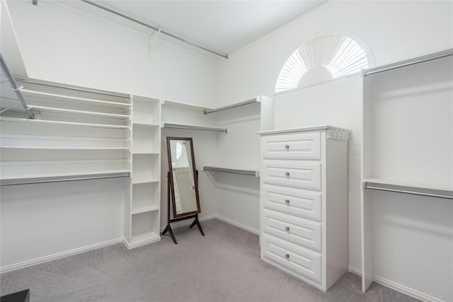 spacious closet with carpet