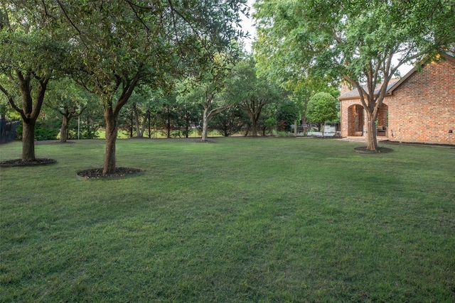 816 Stratton Mill Dr, Lucas, TX 75002 - view of yard