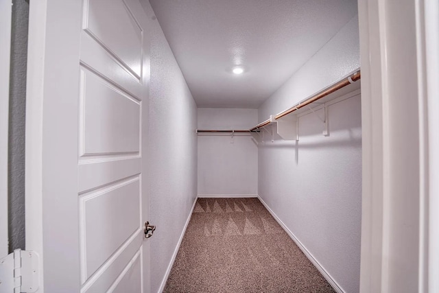 spacious closet with carpet flooring