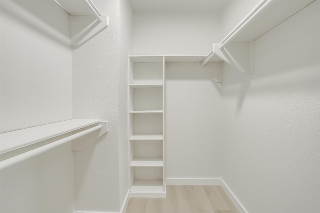 spacious closet featuring light wood-style flooring