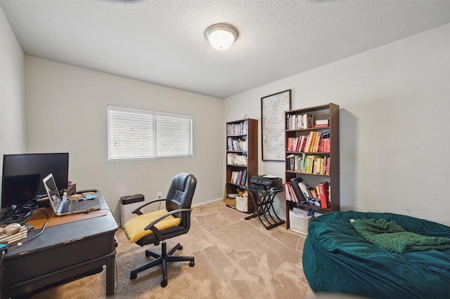 office featuring light carpet