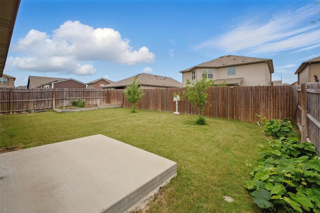 view of yard featuring a fenced backyard and a patio