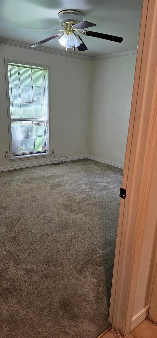 2 Woodfern Ln, Haughton, LA 71037 - spare room featuring carpet floors, ornamental molding, baseboards, and ceiling fan