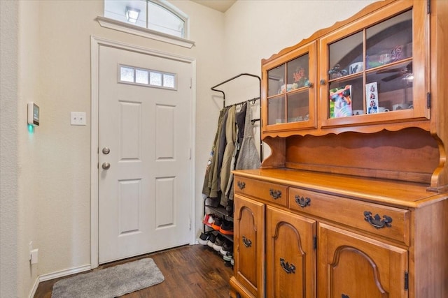 entryway with dark wood-style floors