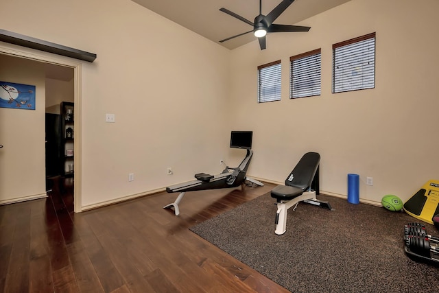 exercise area featuring ceiling fan and wood finished floors