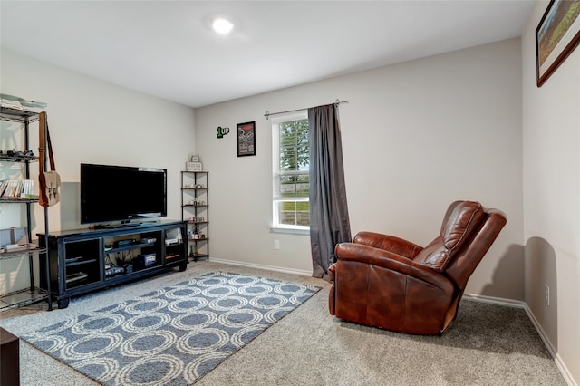 399 Wild Hill Oak Dr, Springtown, TX 76082 - sitting room with baseboards and carpet