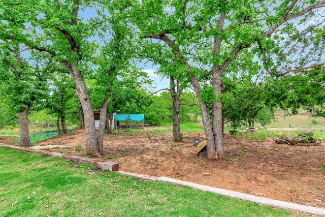 399 Wild Hill Oak Dr, Springtown, TX 76082 - view of yard