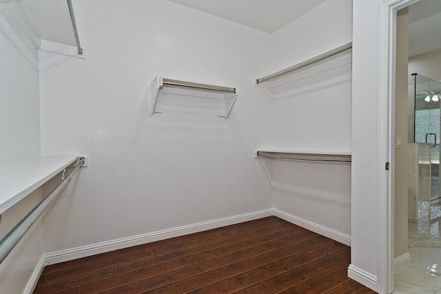 walk in closet featuring dark wood-style floors