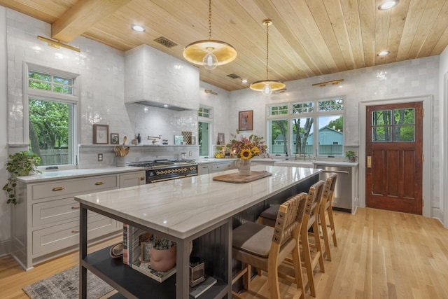 417 N Waddill St, Mckinney, TX 75069 - kitchen featuring wooden ceiling, dishwasher, open shelves, double oven range, and light wood-type flooring