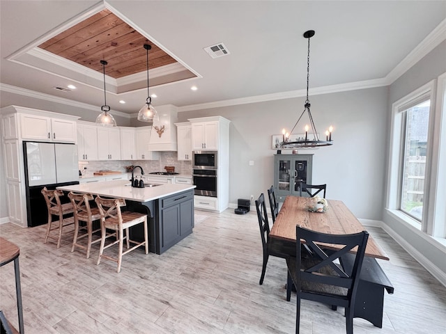 kitchen featuring visible vents, plenty of natural light, a tray ceiling, and stainless steel appliances