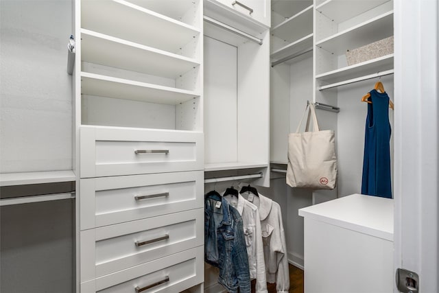 view of walk in closet