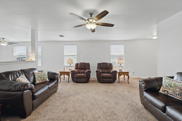 712 Riverflat Dr, Fort Worth, TX 76179 - living area featuring carpet flooring, a ceiling fan, and plenty of natural light