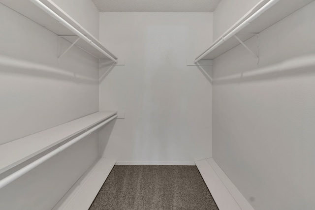 7804 Skylake Dr, Fort Worth, TX 76179 - spacious closet with carpet floors