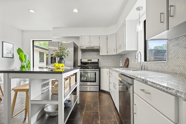 kitchen featuring under cabinet range hood, stainless steel appliances, a sink, and tasteful backsplash