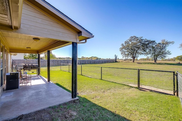 view of yard with a patio and a fenced backyard