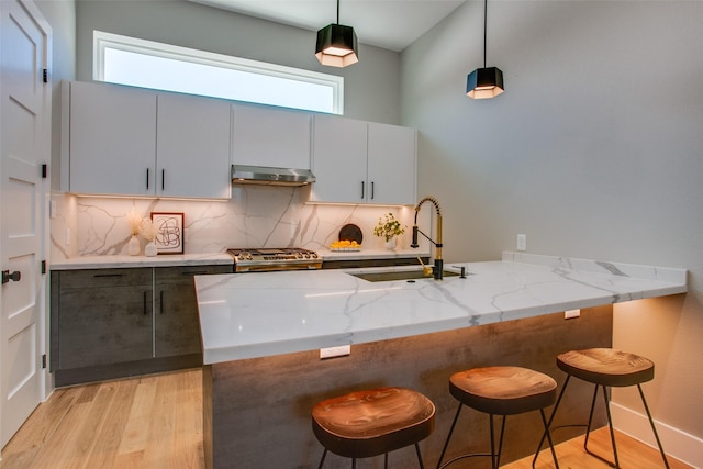 kitchen with light stone counters, a sink, backsplash, light wood-type flooring, and under cabinet range hood