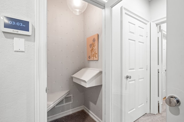 mudroom with visible vents and carpet floors