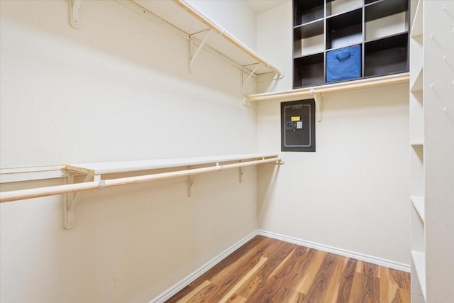 spacious closet featuring wood finished floors