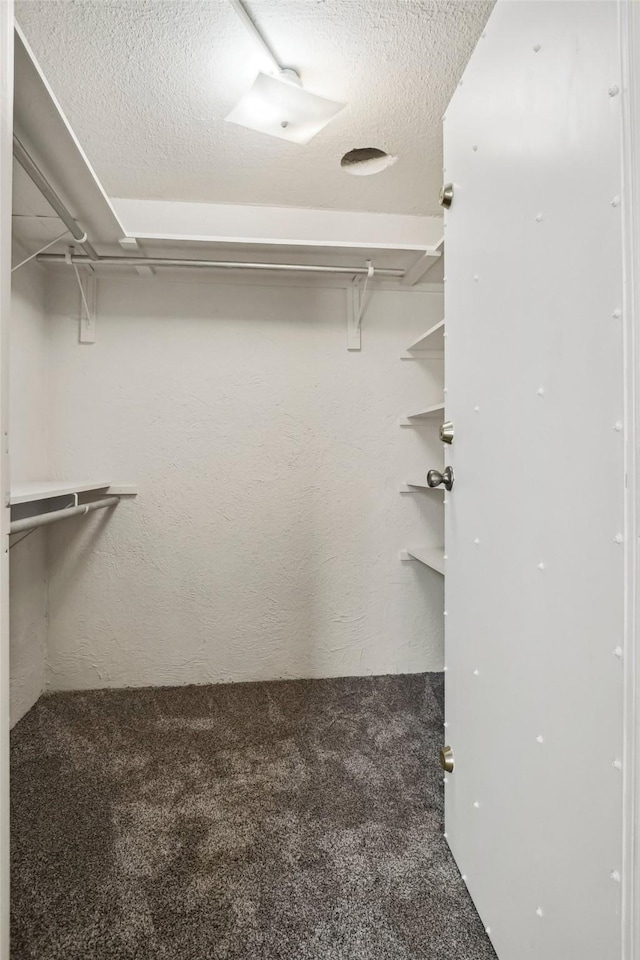 spacious closet with carpet floors