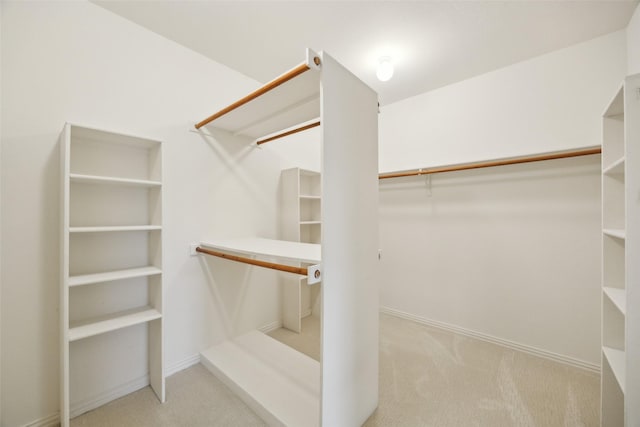 spacious closet with carpet floors