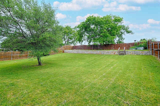 2620 Argyle Shore Dr, Rockwall, TX 75087 - view of yard with a fenced backyard
