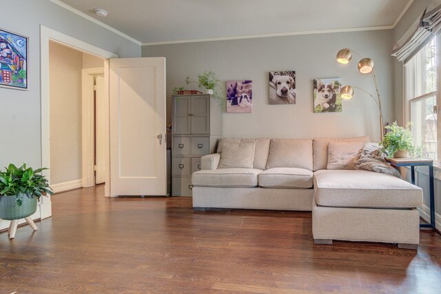living room featuring ornamental molding and wood finished floors