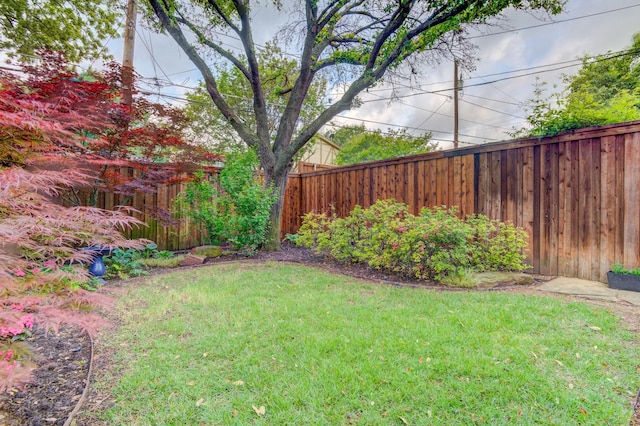 view of yard with a fenced backyard