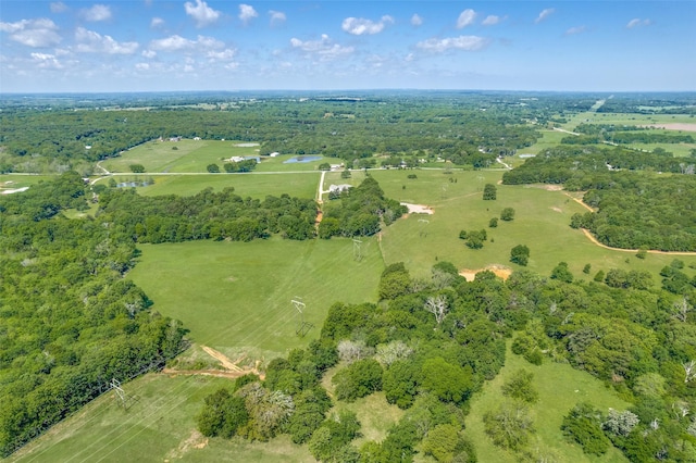 1314 Fleming Rd, Bells, TX 75414 - drone / aerial view with a rural view