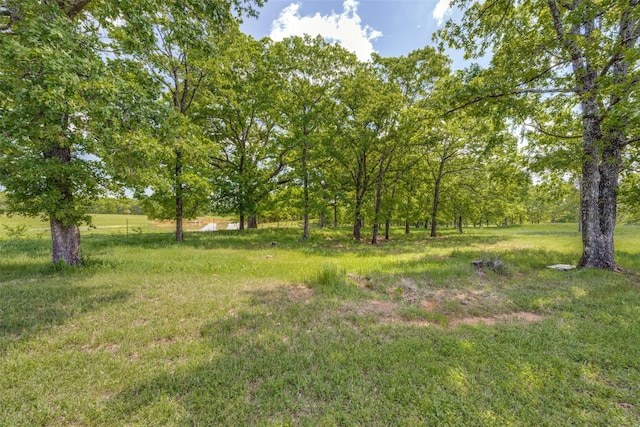 1314 Fleming Rd, Bells, TX 75414 - view of yard