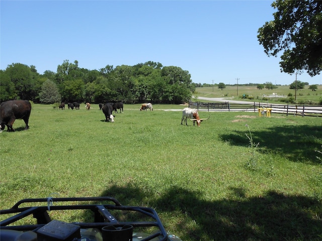 view of yard with a rural view